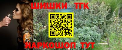 дживик Камышлов